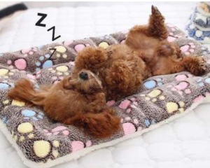 Cama cojín con diseño